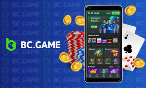 Understanding BC Game Verification KYC Ensuring Safe and Secure Gaming